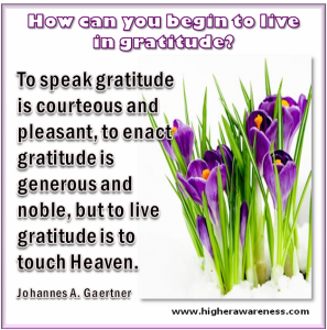 Gratitude