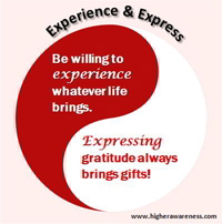 experience consciousness